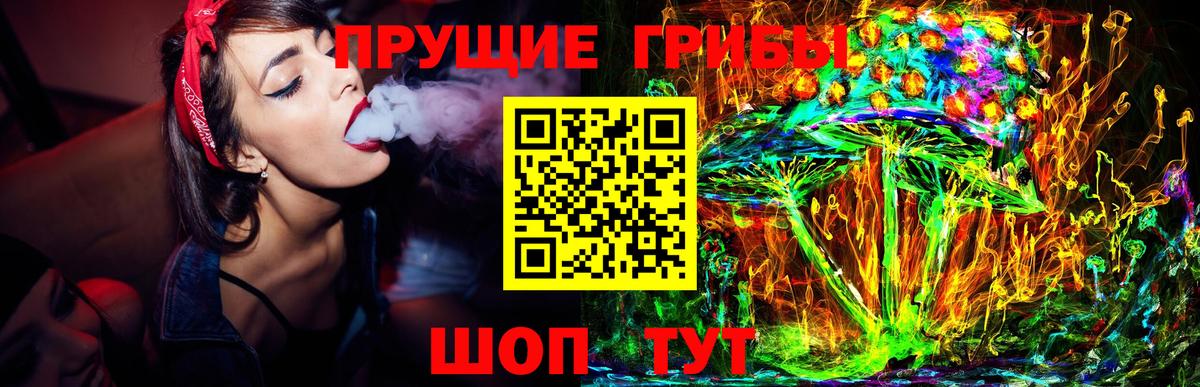 Семёнов  Псилоцибиновые грибы Psilocybine cubensis  Вход с VPN  Псилоцибиновые грибы мицелий 