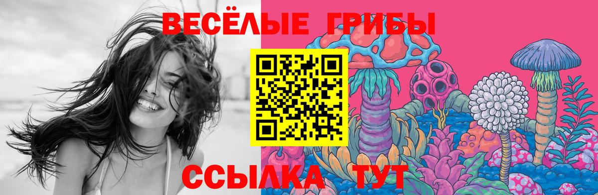 Галлюциногенные грибы GOLDEN TEACHER Семёнов